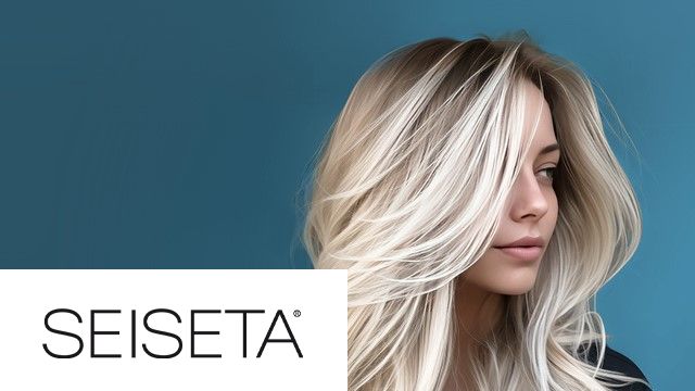 Seiseta