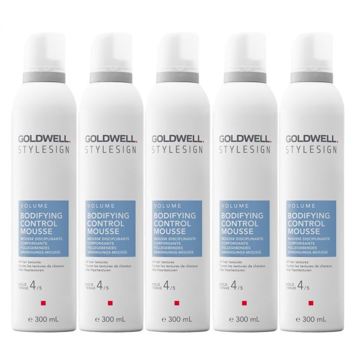 15x Stylesign Bodifying Control Mousse 300ml main product photo